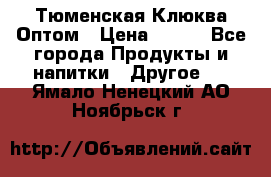 Тюменская Клюква Оптом › Цена ­ 200 - Все города Продукты и напитки » Другое   . Ямало-Ненецкий АО,Ноябрьск г.